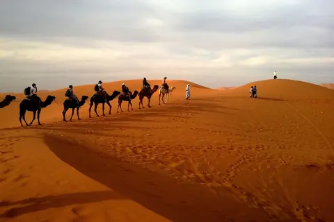 A camel caravan on the dunes of the Sahara