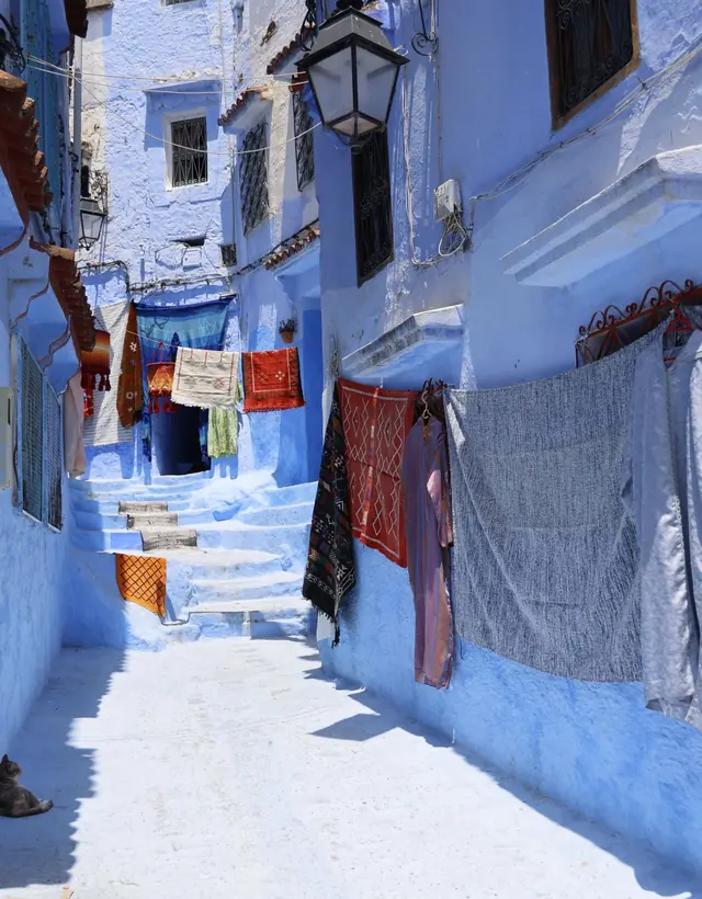 A blue lane in Chefchaouen