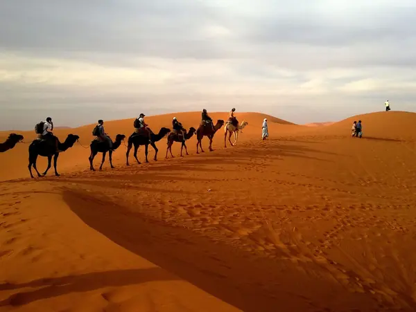 Camel ride