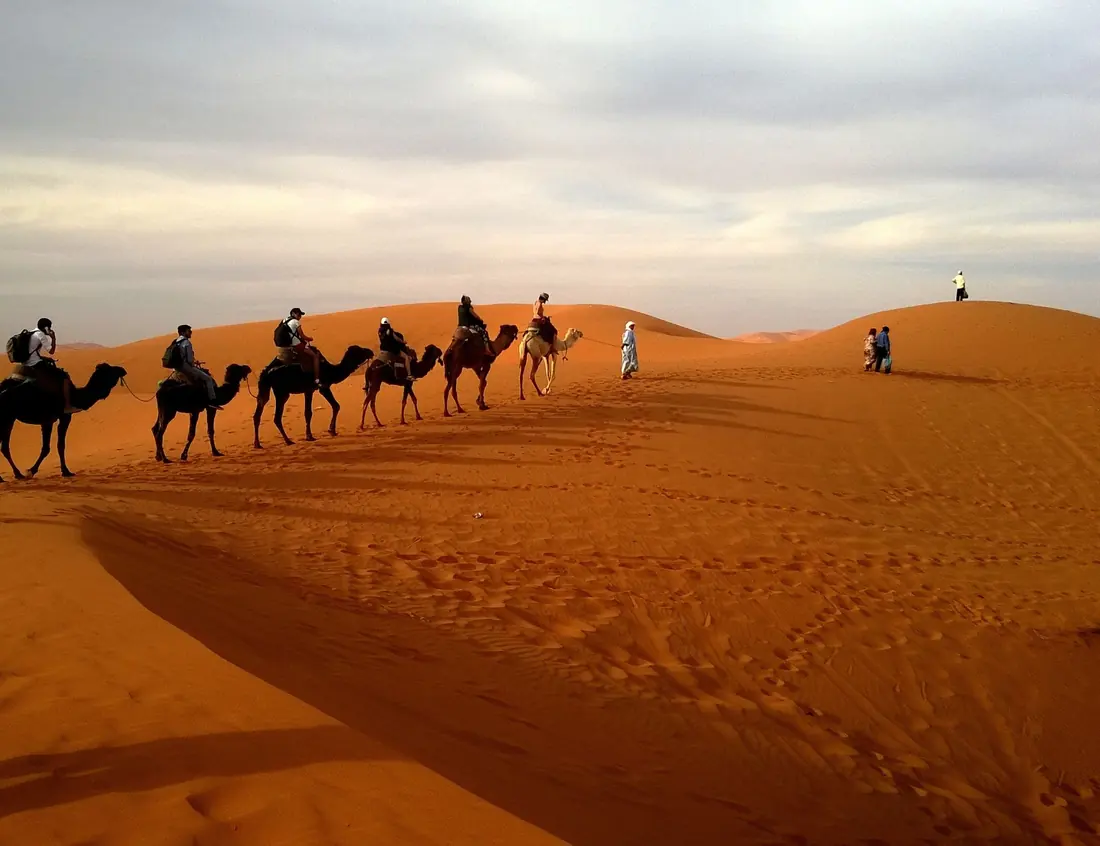 A camel caravan on the dunes of the Sahara